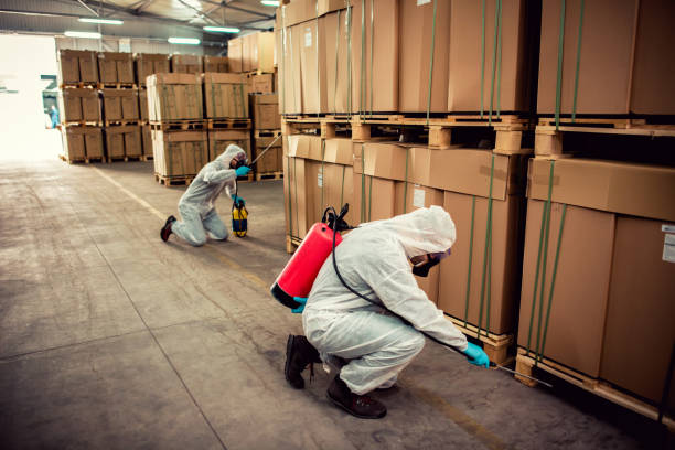 Best Cockroach Control Services  in Mayo, SC
